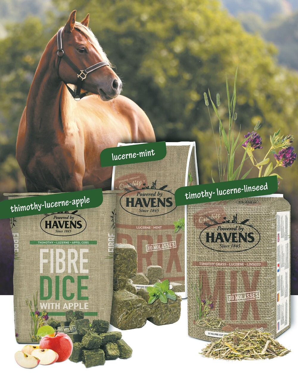 FIBRE DICE, MIX and - HAVENS Horsefeed