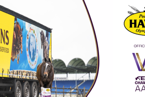 Horsefeed of highest quality