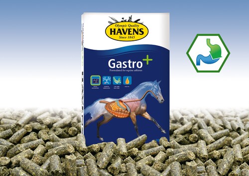 Gastro+ for an optimal digestion