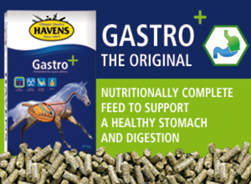 Gastro+ for an optimal digestion