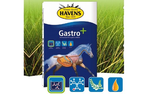 Gastro+ for an optimal digestion