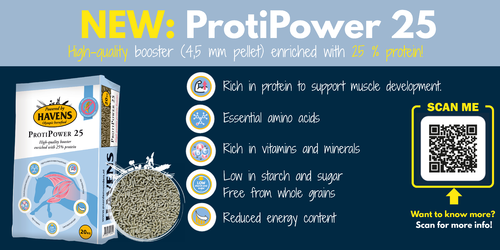NEW: ProtiPower 25