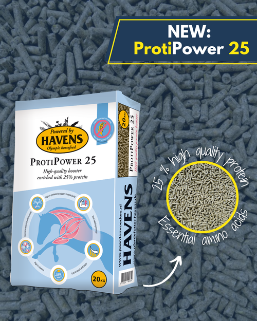 NEW: ProtiPower 25
